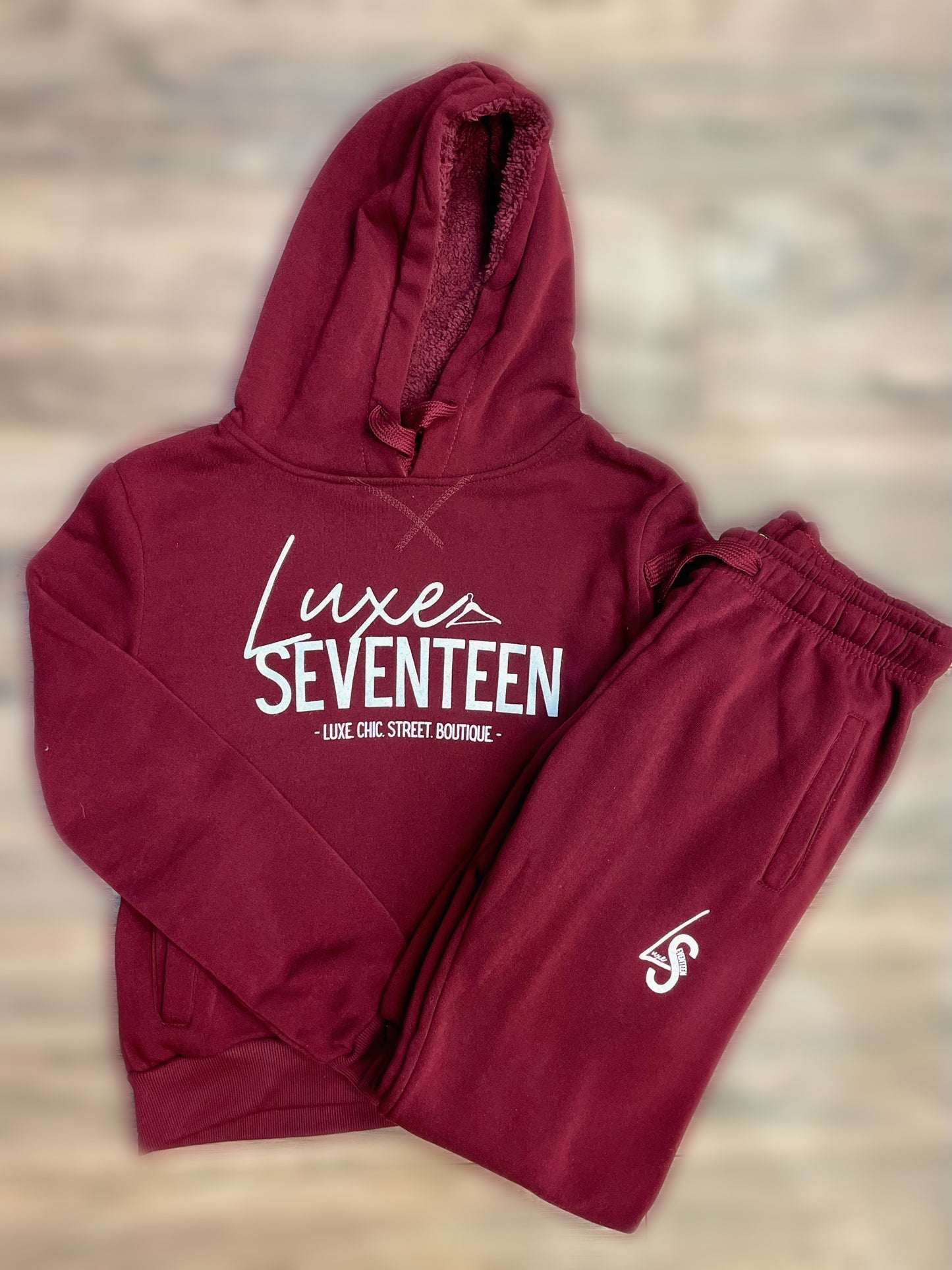 LS logo Hoodie